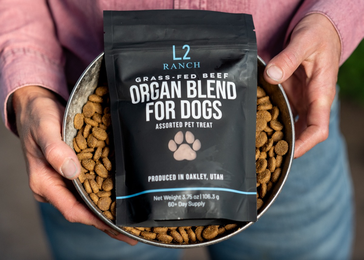 L2 Ranch Grass-Fed Beef Organ Blend for Dogs held over dog food bowl
