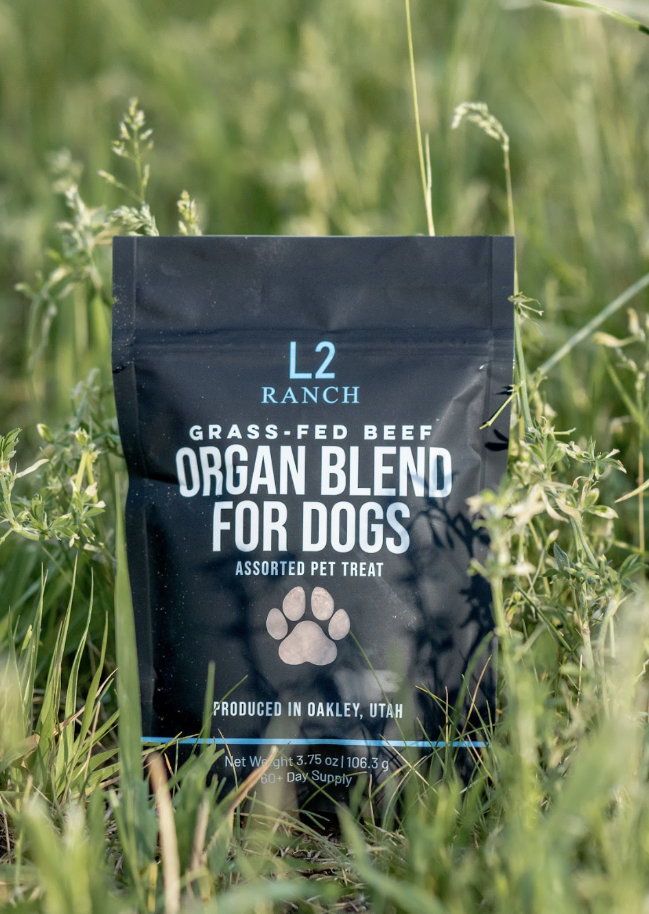 Dog Supplement
